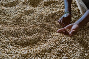 Kwezi Coffee
