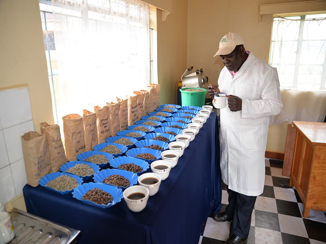 Othaya Farmers Cooperative