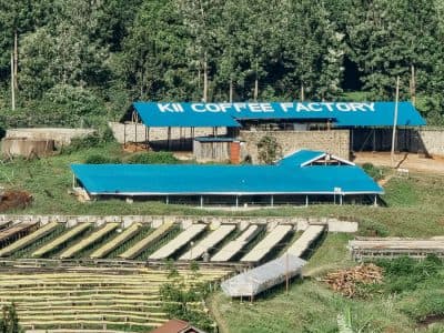 Kii Coffee Factory (Rungeto FCS)